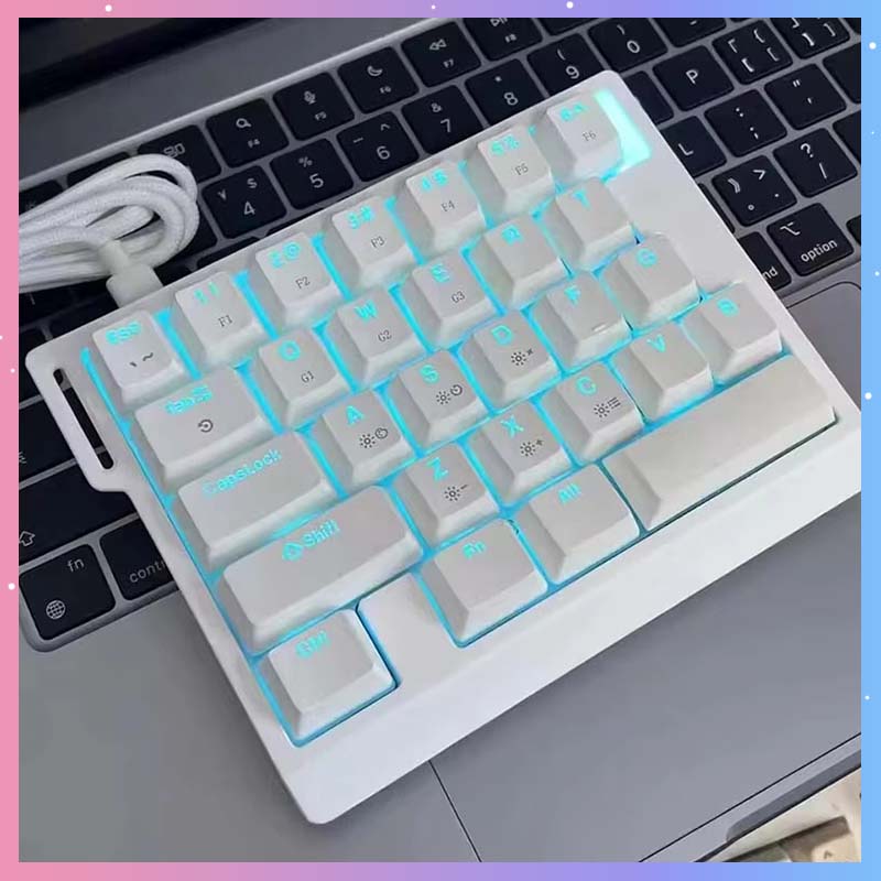 Gaming Keyboard Mechanical - HE30 Mechanisch Gaming Toetsenbord 29 toetsen